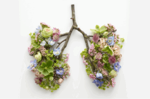 Exercice de respiration consciente pour apaiser le stress