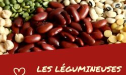 Protéines végétales