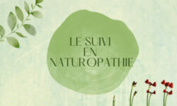 Suivi en naturopathie